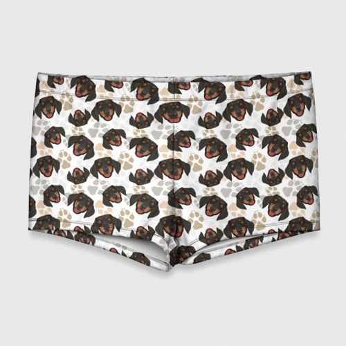 Мужские купальные плавки 3D Такса Dachshund Dog
