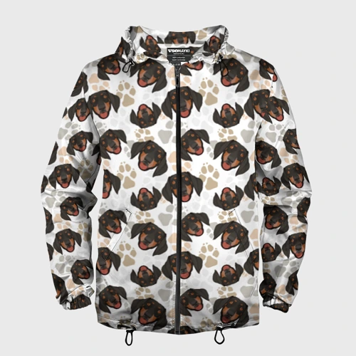 Мужская ветровка 3D Такса Dachshund Dog