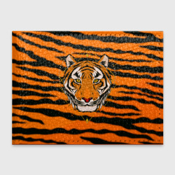 Обложка для студенческого билета Тигр настоящий хищник