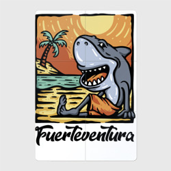 Магнитный плакат 2Х3 Fuerteventura, beach - shark