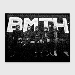 Обложка для студенческого билета BMTH Live