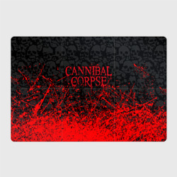 Магнитный плакат 3Х2 Cannibal Corpse, брызги красок черепа