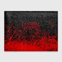 Обложка для студенческого билета Cannibal Corpse, брызги красок черепа