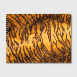 Альбом для рисования Шкура тигра 2022