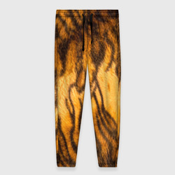 Женские брюки 3D Шкура тигра 2022
