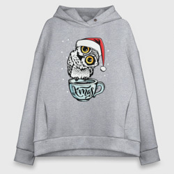 Женское худи Oversize хлопок X-mas Owl