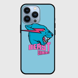 Чехол для iPhone 13 Pro Mr Beast Gaming