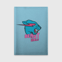 Обложка для автодокументов Mr Beast Gaming