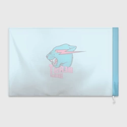 Флаг 3D Mr Beast Gaming - фото 2