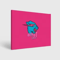 Холст прямоугольный Mr Beast Gaming Full Print Pink edition
