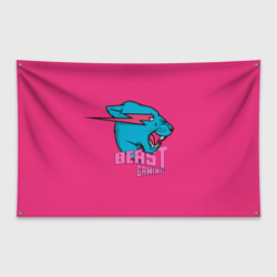 Флаг-баннер Mr Beast Gaming Full Print Pink edition