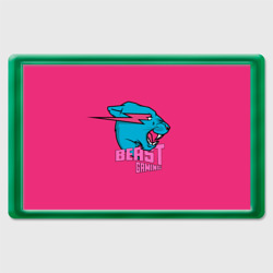 Магнит 45*70 Mr Beast Gaming Full Print Pink edition