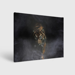 Холст прямоугольный Тигр в тумане