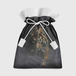 Подарочный 3D мешок Тигр в тумане