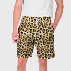 Мужские шорты 3D Пятна Дикого Леопарда