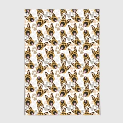 Постер Собака - Немецкая Овчарка