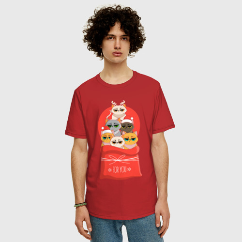 Мужская футболка хлопок Oversize с принтом Christmas Cats, фото на моделе #1