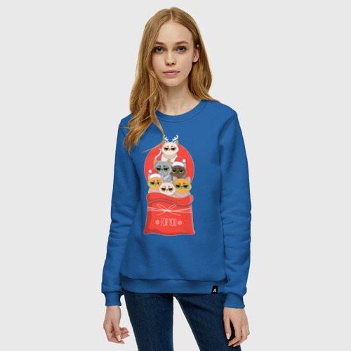 Женский свитшот хлопок с принтом Christmas Cats, фото на моделе #1