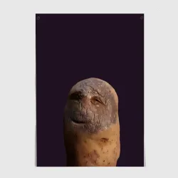 Постер Уставший картофель