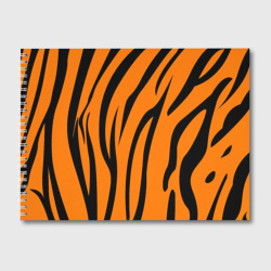 Альбом для рисования Текстура тигра/tiger