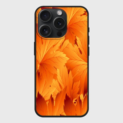 Чехол силиконовый для Apple iPhone 15 Pro матовый Кленовая сладость
