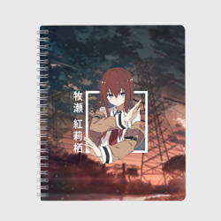 Тетрадь Врата Штейна Steins Gate, Курису Макисэ Kurisu Makise