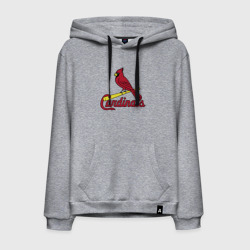 Мужская толстовка хлопок St Louis Cardinals - baseball team