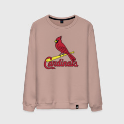 Мужской свитшот хлопок St Louis Cardinals - baseball team