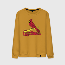 Мужской свитшот хлопок St Louis Cardinals - baseball team