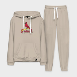 Мужской костюм хлопок с толстовкой St Louis Cardinals - baseball team