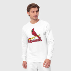 Костюм с принтом St Louis Cardinals - baseball team для мужчины, вид на модели спереди №3. Цвет основы: белый