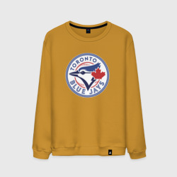 Мужской свитшот хлопок Toronto Blue Jays