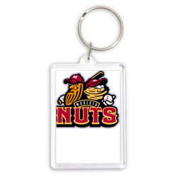 Брелок прямоугольный 35*50 Modesto Nuts - baseball team