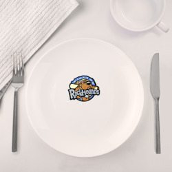 Набор: тарелка + кружка Midland rockhounds - baseball team - фото 2