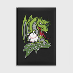 Ежедневник Shreveport swamp dragons - baseball team