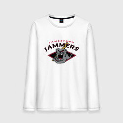 Мужской лонгслив хлопок Jamestown jammers - baseball team