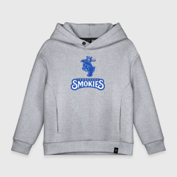 Детское худи Oversize хлопок Tennessee smokies - baseball team