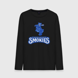 Мужской лонгслив хлопок Tennessee smokies - baseball team