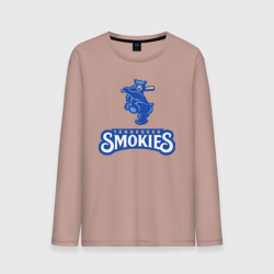 Мужской лонгслив хлопок Tennessee smokies - baseball team