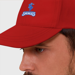 Бейсболка Tennessee smokies - baseball team