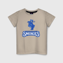 Детская футболка хлопок Tennessee smokies - baseball team