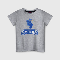 Детская футболка хлопок Tennessee smokies - baseball team