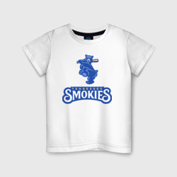 Детская футболка хлопок Tennessee smokies - baseball team