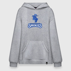 Худи SuperOversize хлопок Tennessee smokies - baseball team