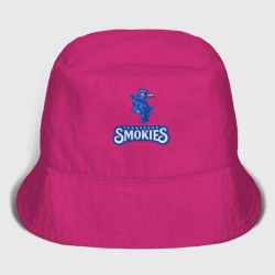 Детская панама хлопок Tennessee smokies - baseball team