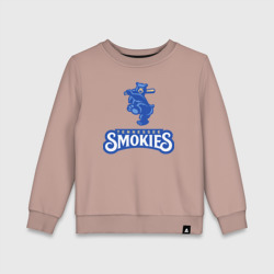 Детский свитшот хлопок Tennessee smokies - baseball team