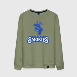 Мужской свитшот хлопок Tennessee smokies - baseball team