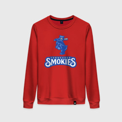 Женский свитшот хлопок Tennessee smokies - baseball team