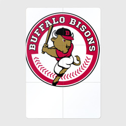 Магнитный плакат 2Х3 Buffalo bisons - baseball team