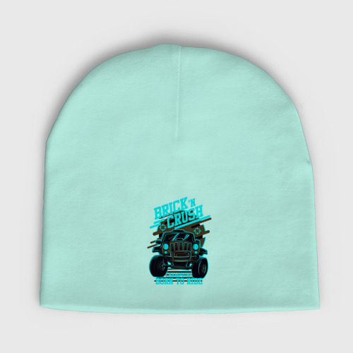 Детская шапка демисезонная Авто чемпион дорог, цвет мятный